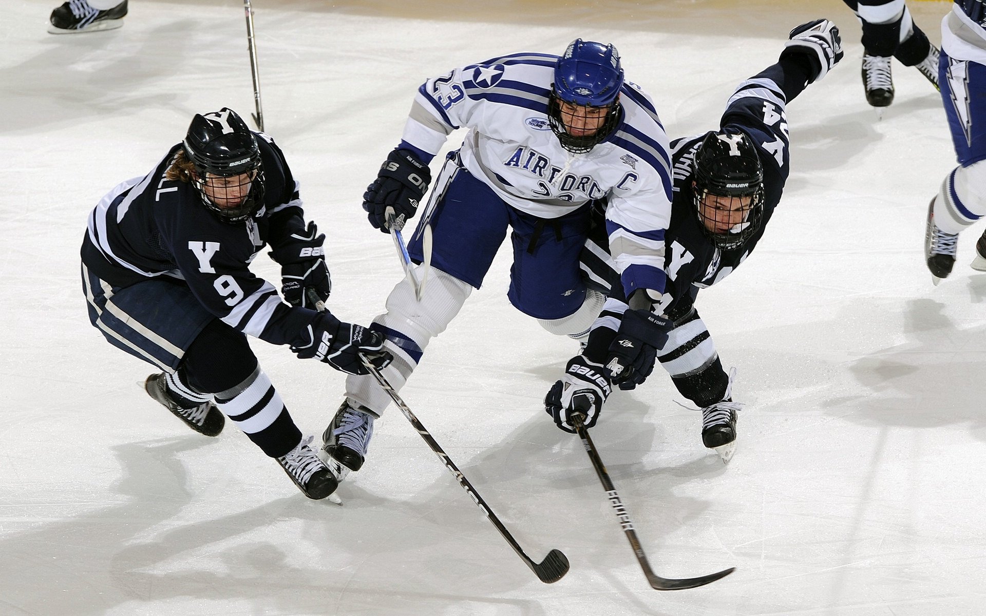 WRC最美赛道：边看比赛边享受自然之美，wrc 比赛